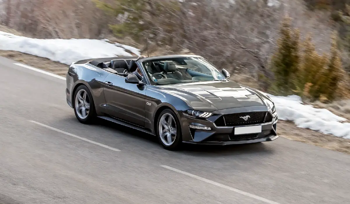 Ford - Mustang Ecoboost Premium Fastback - Best Car Rentals - Best Preowned Car - Exclusive Concierge Club.webp